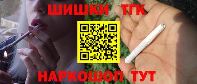 индика Ярославль