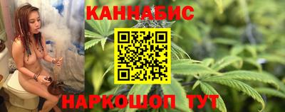 индика Ярославль
