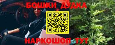 индика Ярославль