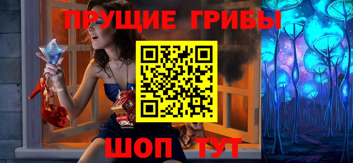 Каменск-Шахтинский  Галлюциногенные грибы Psilocybe  Вход с VPN 